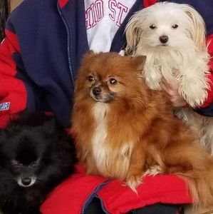 Meet your Posher, Melissa